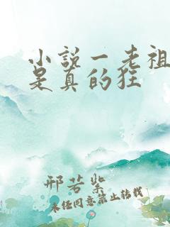 小说一老祖宗她是真的狂