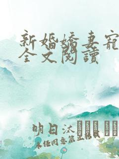 新婚娇妻宠上瘾全文阅读