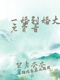 一婚到婚大结局免费看