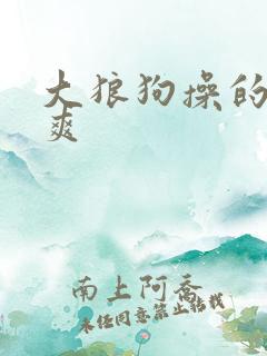 大狼狗操的我好爽