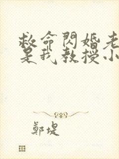 救命闪婚老公竟是我教授小说免费阅读