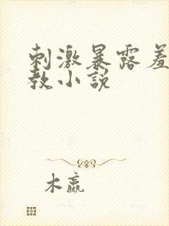 刺激暴露羞耻调教小说