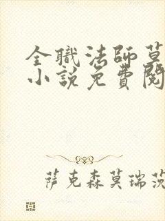 全职法师莫凡的小说免费阅读