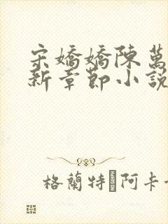 宋娇娇陈万里最新章节小说免费阅读