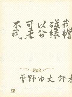 不可以碰我我给我老公绿帽子操坏后小说