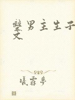 双男主生子甜宠文