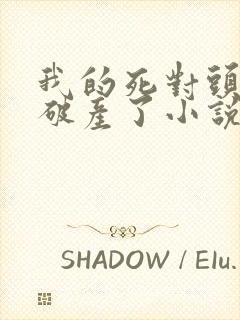 我的死对头终于破产了小说下载