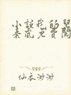 小说我的儿媳是秦岚免费阅读