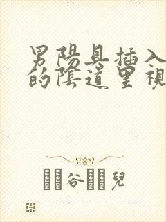 男阳具插入女人的阴道里视频
