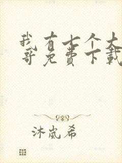 我有七个大佬哥哥免费下载