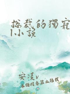 总裁的独宠甜妻l小说