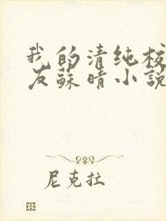 我的清纯校花女友苏晴小说最新章节