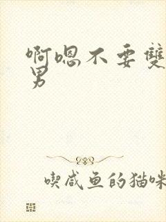 啊嗯不要双性男男