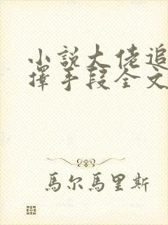 小说大佬追妻不择手段全文阅读