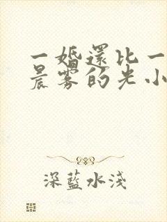 一婚还比一婚高晨雾的光小说