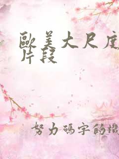 欧美大尺度床戏片段