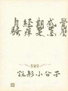 月经期感觉阴道骚痒是怎么回事