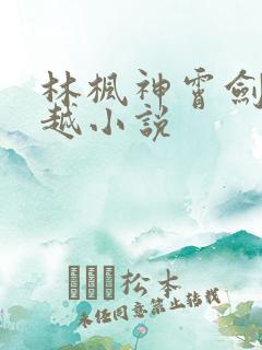 林枫神霄剑宗穿越小说