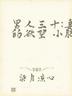 男人三十:妻子的欲望 小肥