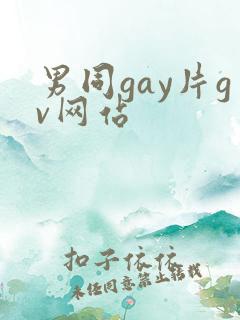 男同gay片gv网站
