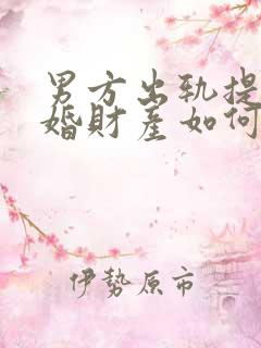 男方出轨提出离婚财产如何分割