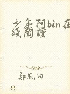 少年阿bin在线阅读