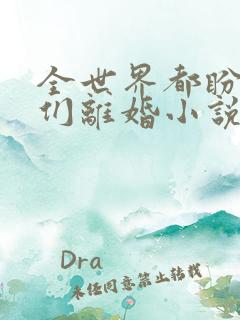 全世界都盼着我们离婚小说看