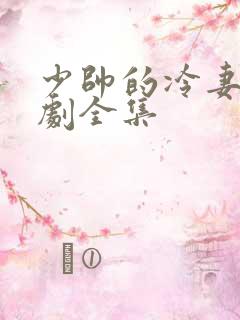 少帅的冷妻情短剧全集