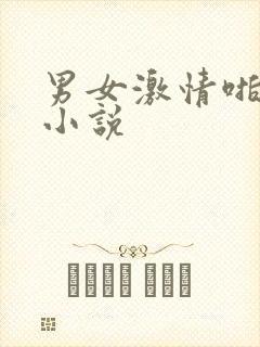 男女激情啪啪啪小说