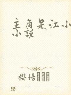 主角是江小文的小说