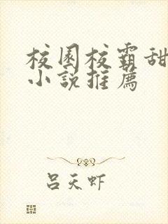 校园校霸甜宠文小说推荐