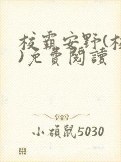 校霸安野(校园)免费阅读