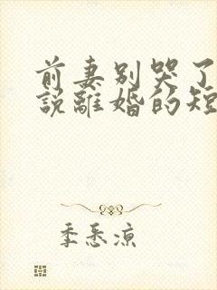 前妻别哭了是你说离婚的短剧下集