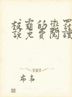 校霸的惩罚期小说免费阅读