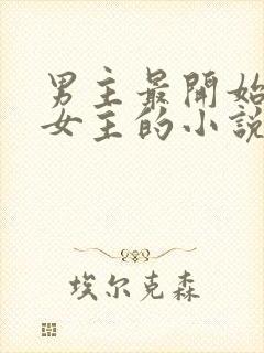 男主最开始讨厌女主的小说