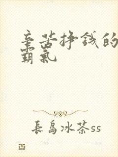 辛苦挣钱的句子霸气