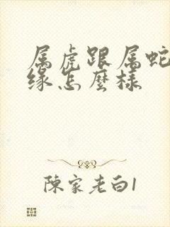 属虎跟属蛇的姻缘怎么样