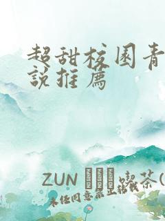 超甜校园青春小说推荐