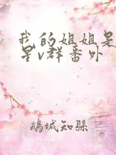 我的姐姐是大明星v群番外