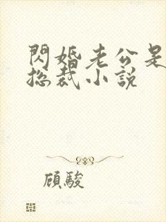 闪婚老公是亿万总裁小说