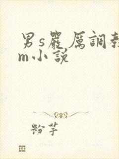 男s严厉调教女m小说