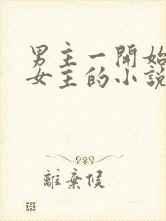 男主一开始厌恶女主的小说