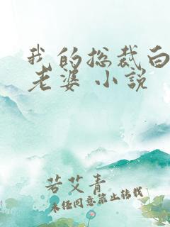 我的总裁白富美老婆 小说