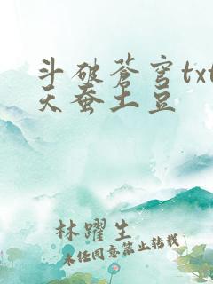 斗破苍穹txt天蚕土豆