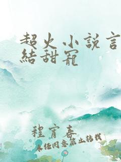 超火小说言情完结甜宠