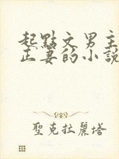 起点文男主沦为正妻的小说