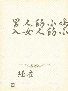 男人的小鸡鸡插入女人的小逼逼