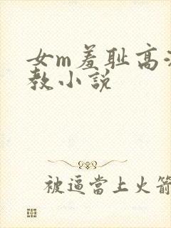 女m羞耻高潮调教小说