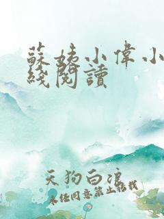 苏姨小伟小说在线阅读