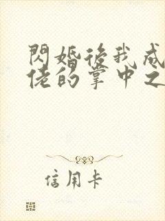 闪婚后我成了大佬的掌中之物八零下载